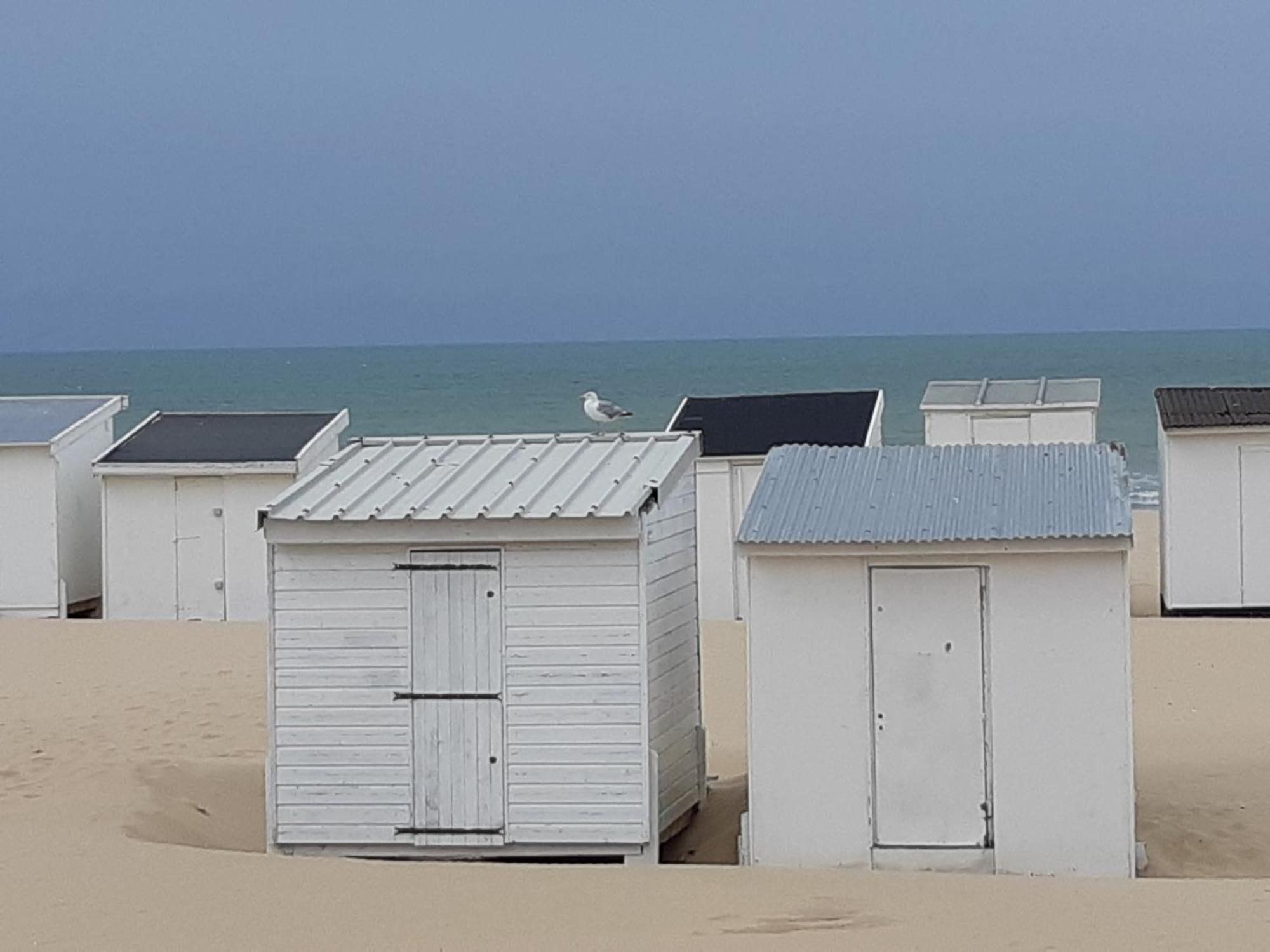 Calais Plage - Magnifique Studio - Front De Mer Екстериор снимка